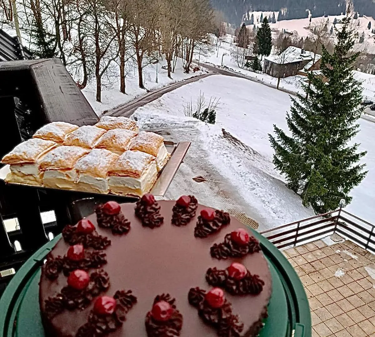Pensjonat Hotel Svycarska Bouda Szpindlerowy Młyn